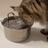 Aquamun Haustiertränke - Animiert zum Trinken und fördert die Gesundheit