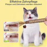 Kauspielzeug - Zur Erhaltung der Zahngesundheit