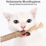 Kauspielzeug - Zur Erhaltung der Zahngesundheit