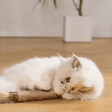 Kauspielzeug - Zur Erhaltung der Zahngesundheit